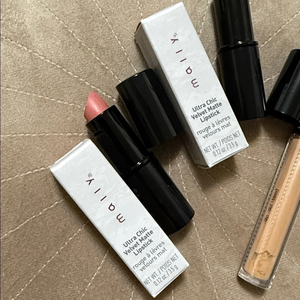 Sephora Bright Future Concealer& Mally Ultra Chic Velvet Matte Lipstick in Blush